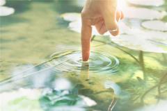 多条财运线代表什么意思