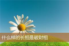 什么样的长相是破财相