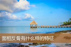 面相反骨有什么样的特征