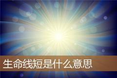 生命线短是什么意思