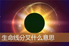 生命线分叉什么意思