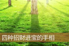 四种招财进宝的手相