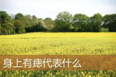 身上有痣代表什么