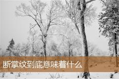 断掌纹到底意味着什么