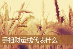 手相财运线代表什么
