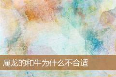 属龙的和牛为什么不合适