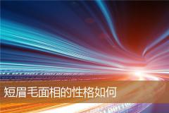 短眉毛面相的性格如何