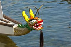 属龙的人在2021年里不顺心吗