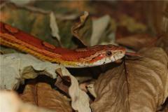 2001年出生的人在2021年会不顺