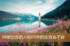98年出生的人和00年的生肖合不合