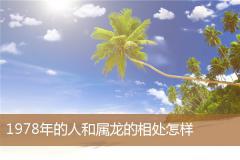 1978年的人和属龙的相处怎样