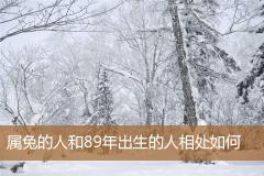 属兔的人和89年出生的人相处如何