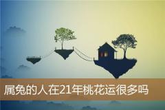 属兔的人在21年桃花运很多吗