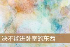 决不能进卧室的东西