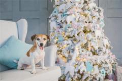 27岁的人在2021年好吗