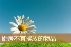 婚房不宜摆放的物品
