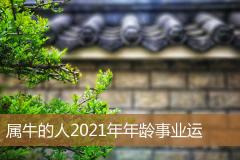 属牛的人2021年年龄事业运