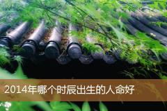 2014年哪个时辰出生的人命好