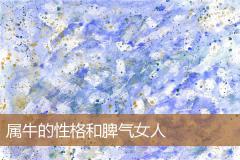 属牛的性格和脾气女人