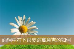 面相中右下眼皮跳寓意吉凶如何