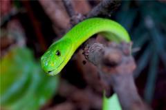 2013年生人的性格