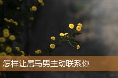 怎样让属马男主动联系你