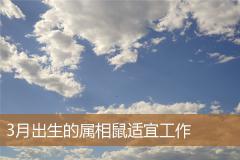 3月出生的属相鼠适宜工作