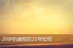 20岁的属相在21年如何