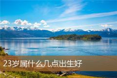 23岁属什么几点出生好