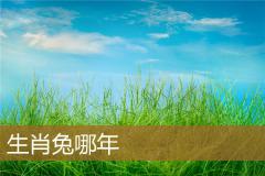 生肖兔哪年