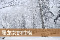 属龙女的性格