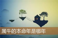 属牛的本命年是哪年