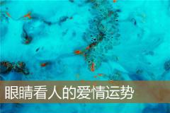 眼睛看人的爱情运势