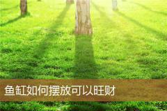 鱼缸如何摆放可以旺财