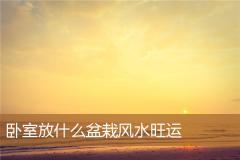 卧室放什么盆栽风水旺运