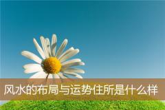 风水的布局与运势住所是什么样