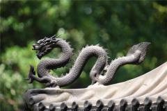 属龙是什么年份生