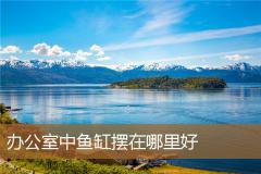 办公室中鱼缸摆在哪里好
