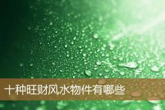十种旺财风水物件有哪些