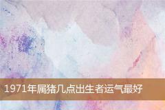 1971年属猪几点出生者运气最好