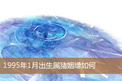 1995年1月出生属猪姻缘如何
