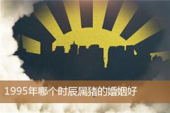 1995年哪个时辰属猪的婚姻好