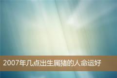 2007年几点出生属猪的人命运好