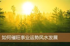 如何催旺事业运势风水发展