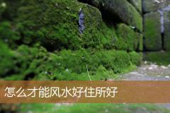 怎么才能风水好住所好