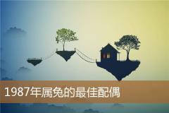 1987年属兔的最佳配偶