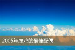 2005年属鸡的最佳配偶