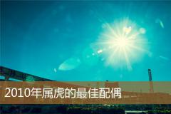 2010年属虎的最佳配偶