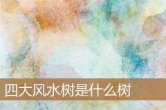 四大风水树是什么树