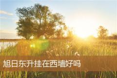 旭日东升挂在西墙好吗